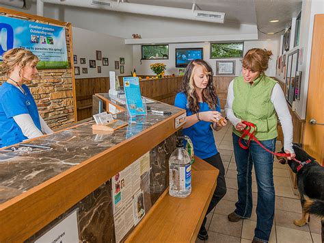At the clinic our state licensed veterinarians and professional staff will ask you a few questions about your pet's lifestyle. Virtual Tour - Janesville Veterinary Clinic