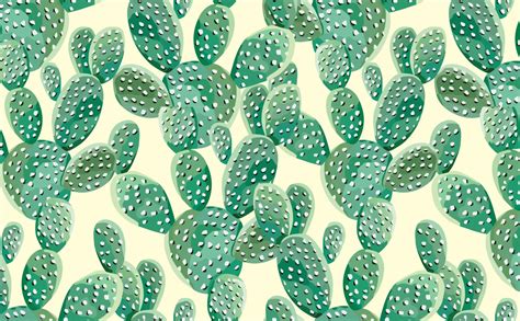 Vintage Cactus Wallpapers Top Free Vintage Cactus Backgrounds