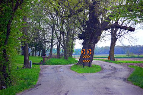 Country Roads Photograph By Robin Pross Fine Art America