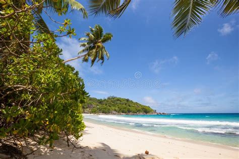 Tropical Beach Stock Image Image Of Beach Paradise 37715513