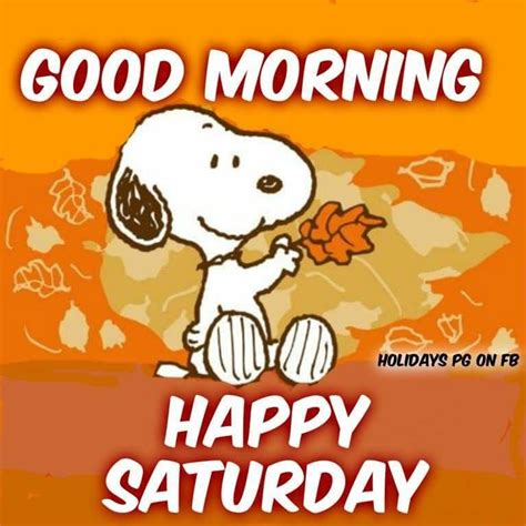 Good Morning Saturday Wishes Happy Saturday Images Saturday Greetings