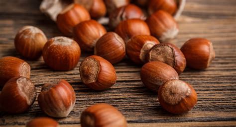 Hazelnuts Or Filberts Are Healthy Crunchy Good Eating