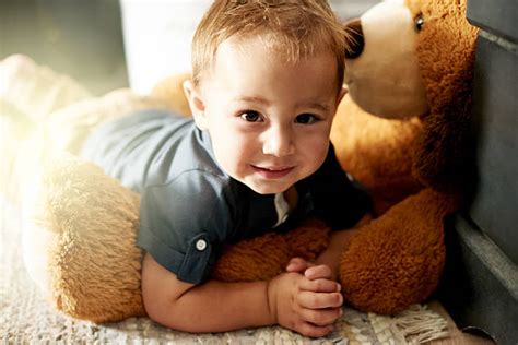 Cuddly Cute Stock Photos Pictures And Royalty Free Images Istock