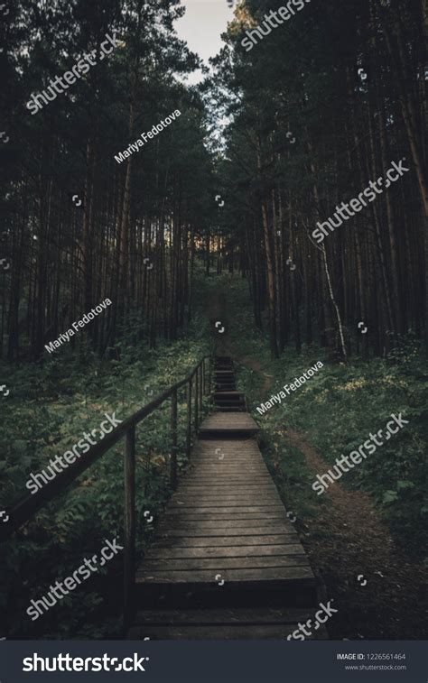 Stair Forest Green Stock Photo 1226561464 Shutterstock