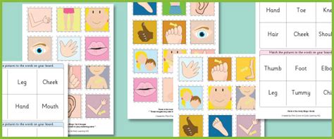 parts   body bingo cards pshe resources  early years