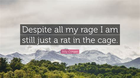 billy corgan quote “despite all my rage i am still just a rat in the cage ”