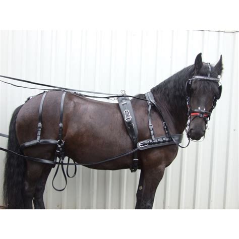 Ideal Leathertech Combination Harness Hartland Carriages