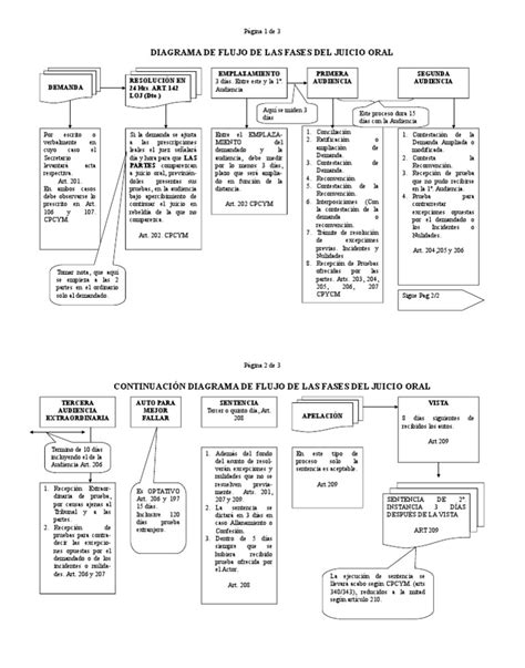 Esquema Del Juicio Oral