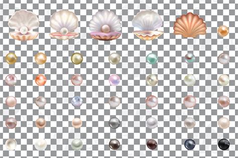 Read customer reviews and common questions and answers for dovecove part #: Watercolor clam shell and pearls design elements clip art ...
