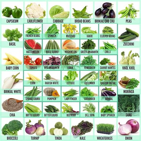 50 Varieties Of Vegetable Fruits And Herbs Seeds For Kitchen Etsy Australia