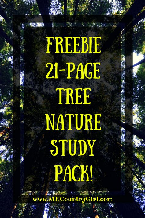 Free 21 Page Tree Nature Study Printable Pack Nature Study Tree