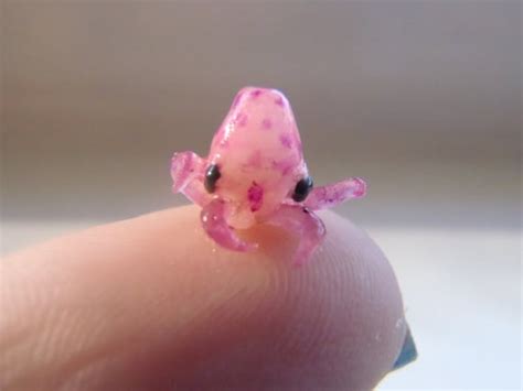 Small Cute Pinky Squid Raww