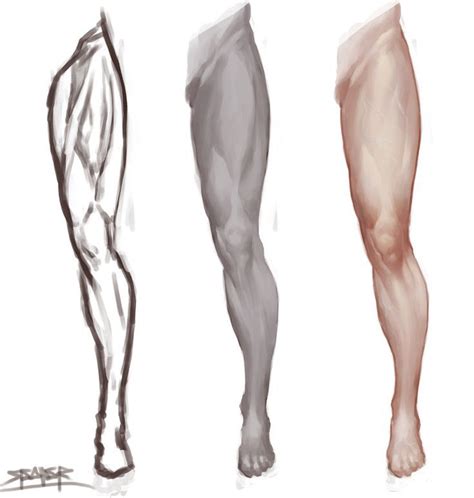 Rysunek Nauka Leg Anatomy Drawing Legs Anatomy Art
