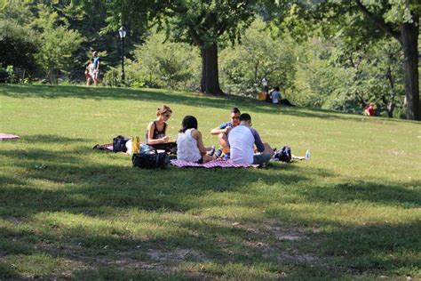 Enjoy A Gourmet Picnic In Central Park Last Minute Service Available Choose From Our Picnic