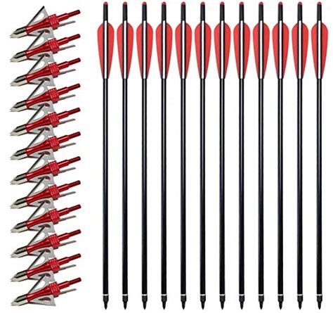 Top 20 Best Crossbow Bolts Reviews And Buying Guide Licorize