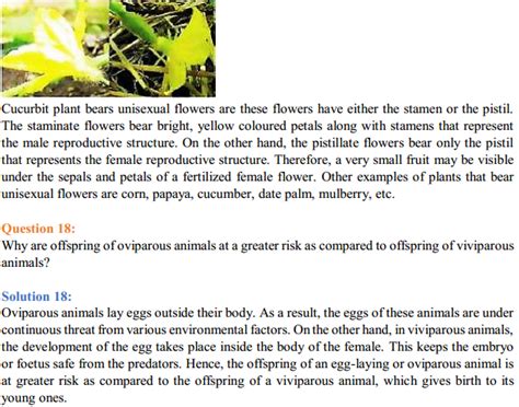 Biology Class 12 Ncert Solutions Chapter 1 Reproduction In Organisms