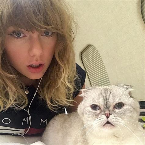 Taylor Swifts Cat Olivia Benson Has A Higher Net Worth Than Travis Kelce