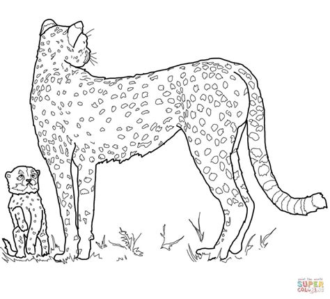 Cheetah Printable Coloring Pages Coloring Home