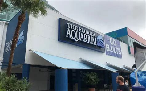 Florida Aquarium Tampa Visitor Information And Reviews