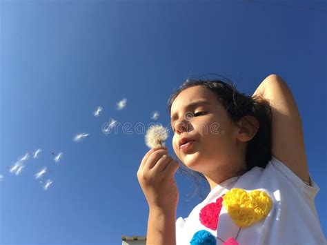 A Little Girl Blowing Dandelion Seeds Stock Photo Image Of Fluffy