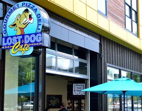 Lost Dog Cafe Locations Featured Lost Dog Cafe