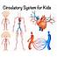 Circulatory System For Kids 294999  Download Free Vectors Clipart