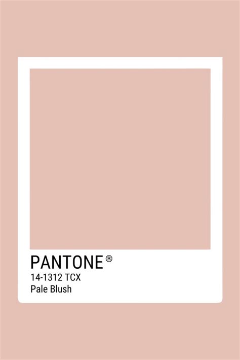 Pantone ‘pale Blush Pantone Pantone Color Blush