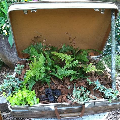 Suitcase Planter Herb Garden Garden Planters Diy Garden Home And