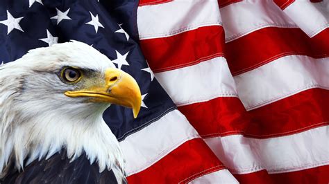 American Flag And Bald Eagle Photo Symbols Of North America 3840x2400