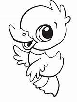 Cute Duck Baby Coloring Printable A4 sketch template