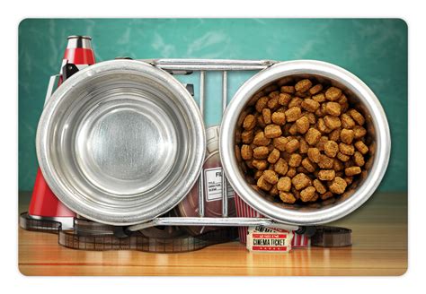 Fried chicken, a meatball hero, steak and tandoori chicken. Movie Theater Pet Mat for Food and Water, Production Theme ...