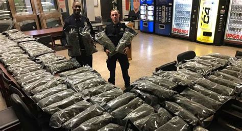 the nypd bragged about a big pot bust turns out it seized 106 pounds of legal hemp bad cop