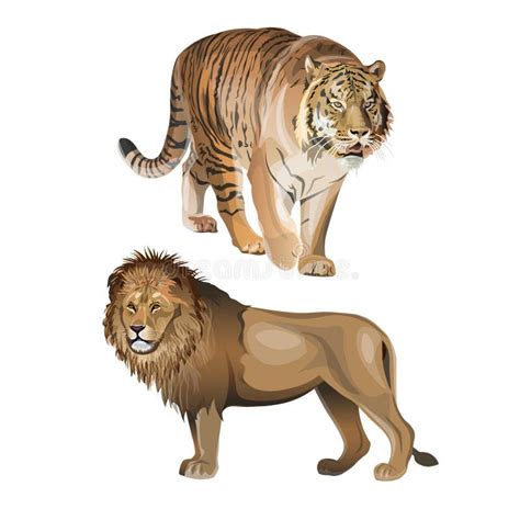 Tiger Lion Stock Illustrations 24 084 Tiger Lion Stock Illustrations Vectors And Clipart