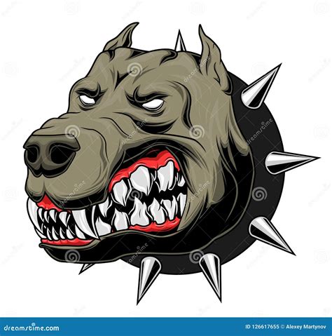 Angry Pitbull Head Vector Illustration 12499648