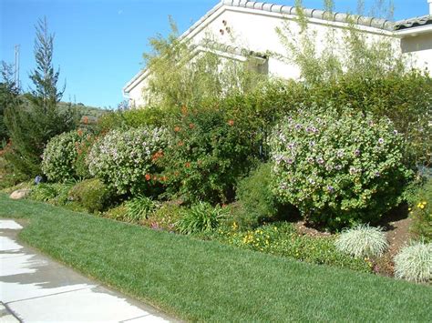 The shrub has flowers that are white or pink. Privacy Shrub Border and Lawn Strip