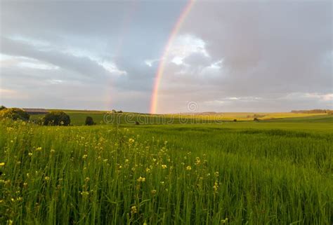 Green Fields With Rainbow Stock Image Image Of Green 73988791