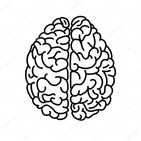 Flat Style Human Brain Top View Doodle Illustration — Stock Vector