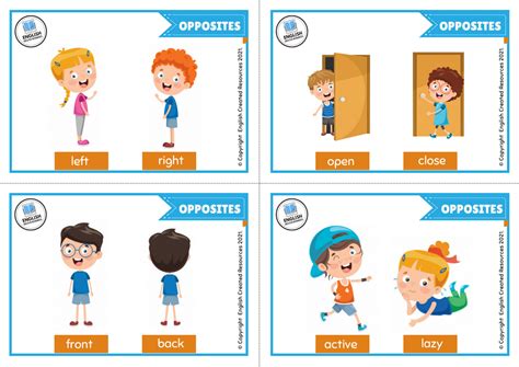 Opposites Flashcards English Created Resources