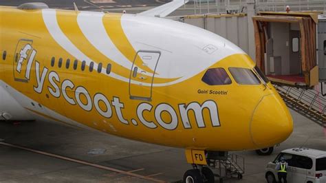 Flights from penang to singapore. Singapore's Scoot to convert six Airbus orders to larger ...