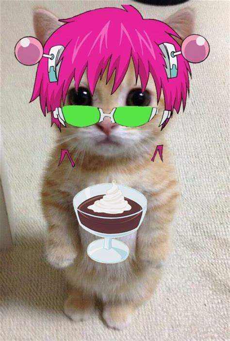 Saiki Pfp Saiki K Anime Kitten Funny Anime Pics Haikyuu Anime