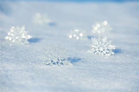 Snowflakes On Snow Stock Photo Image Of Snowflakes Color 26489416