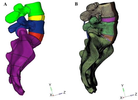 Effect Of Sacral Slope On The Biomechanical Behavior Of The Low Lumbar