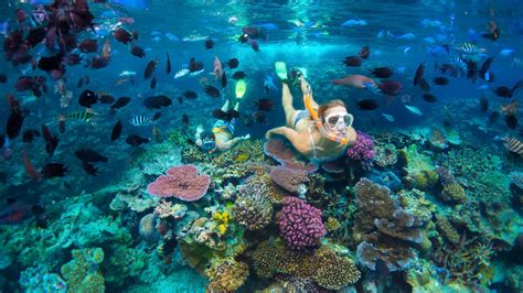 Port Vila Scuba Diving — Dive Adventures