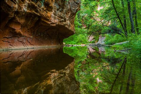 In The Oak Creek Canyon Along The West Fork Trail Christopher Martin