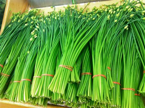 Naturalists swear by the power of garlic having healing properties to combat sickness, lower blood pressure, and reduce the risk of heart disease. Garlic Chives Seeds | Heirloom Tomato Seeds