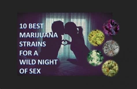10 Best Cannabis Strains To Smoke Before Sex Top 10 Wildnight Arousal