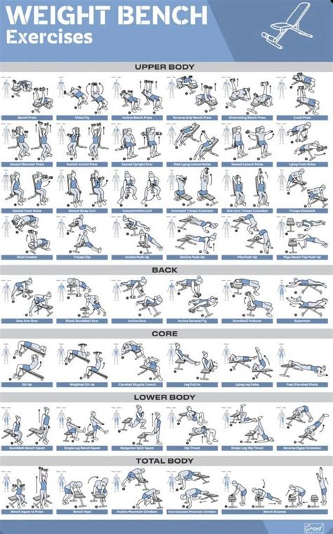 Weight Bench Workout Poster Bench Workout Gym Workout Chart Workout