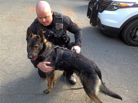 Sheriffs K 9 Unit With Two New Dogs Stronger Than Ever The