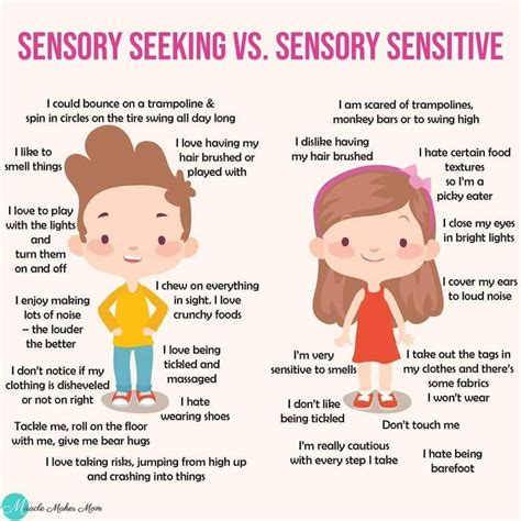 Sensory Seeking Vs Sensory Sensitive The Sensory Store Sensory