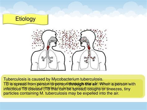 Ppt The Pathogenesis Of Tuberculosis Powerpoint Presentation Free